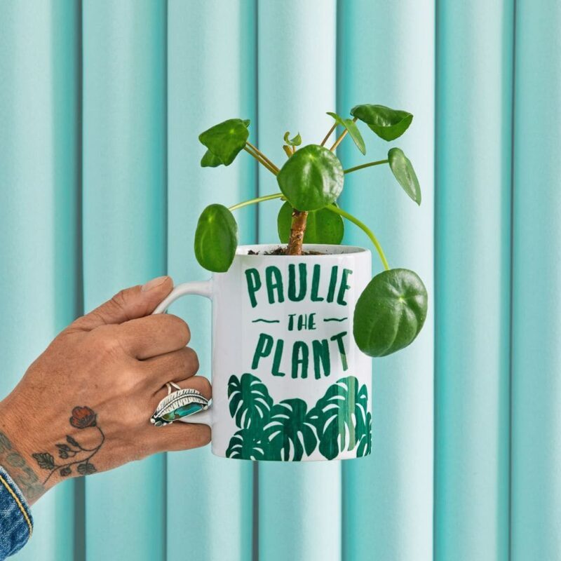 MugPress-8 MugPress-8