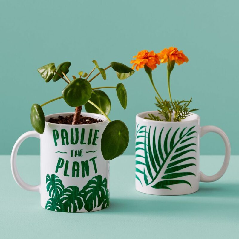 MugPress-10 MugPress-10