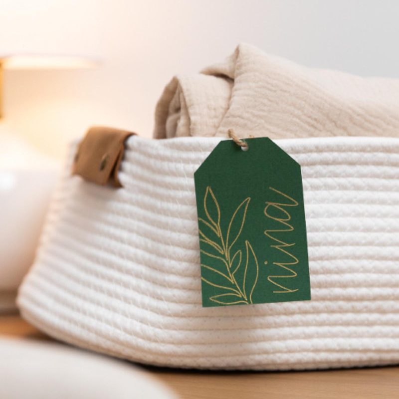 E4_Tools_FoilTransferBlade_5 E4_Tools_FoilTransferBlade_5